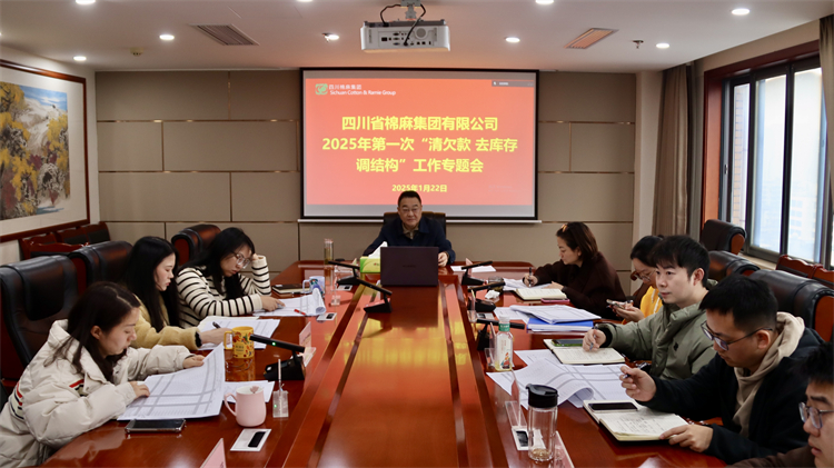 集團(tuán)公司召開2025年第一次“清欠款、去庫存、調(diào)結(jié)構(gòu)”工作專題會(huì)