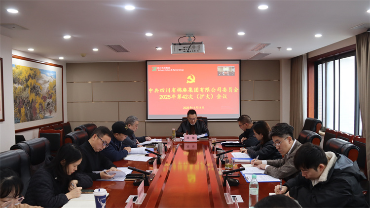 集團(tuán)公司召開(kāi)2025年第42次黨委（擴(kuò)大）會(huì)議